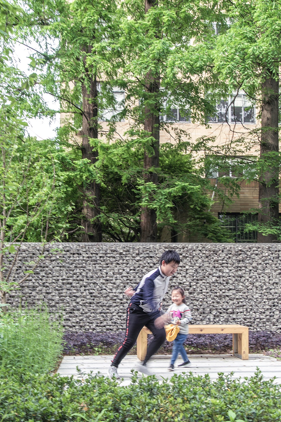 同济大学四平路校区景观微更新/同济大学建筑设计研究院