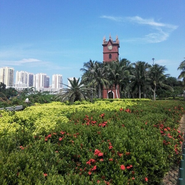 海口悠闲之旅深度体验椰城风情,椰海风情海口