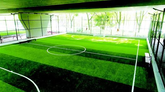 武汉专业足球场最新进展,武汉运动之城足球场建设