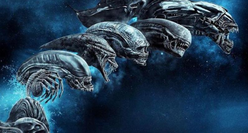 寮傚舰vs閾佽鎴樺＋娣卞害瑙ｈ,涔愰珮閾佽鎴樺＋vs寮傚舰