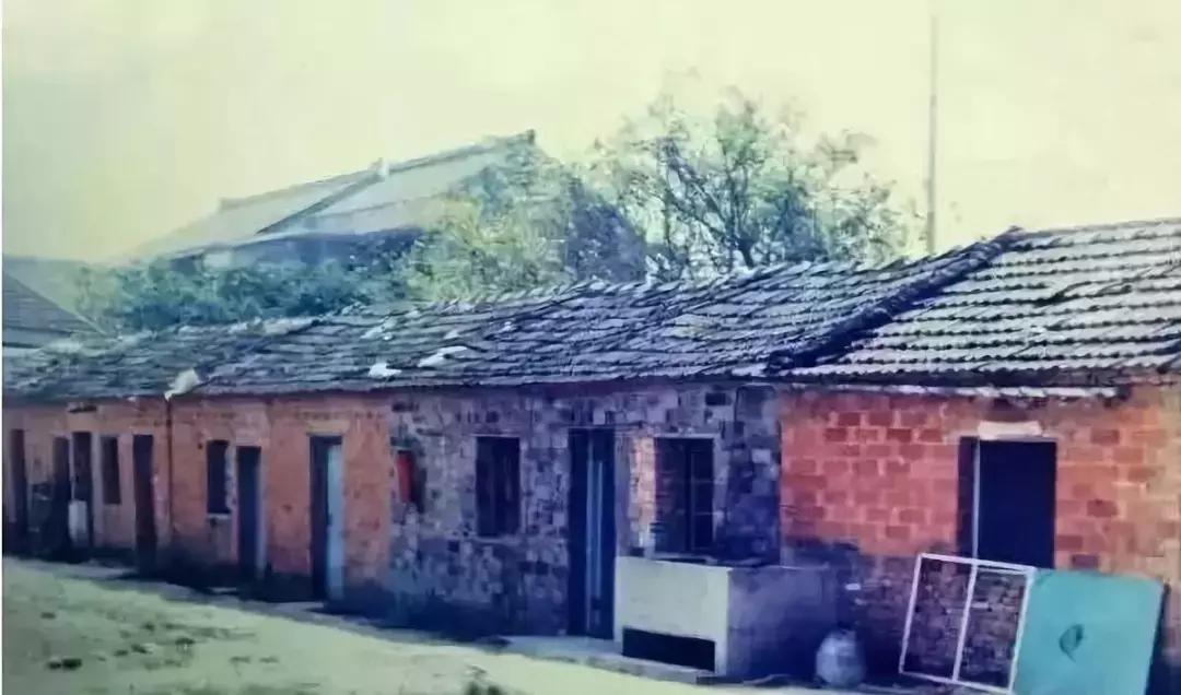 中医泰斗第一人！不肯上市圈钱，药企的产品质量谁来把控？