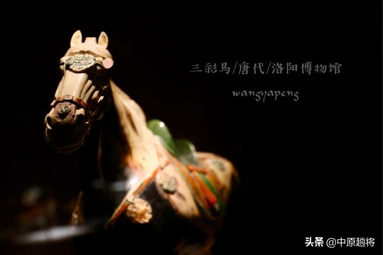 洛阳博物馆专门为二十多件珍宝成立了一个展馆