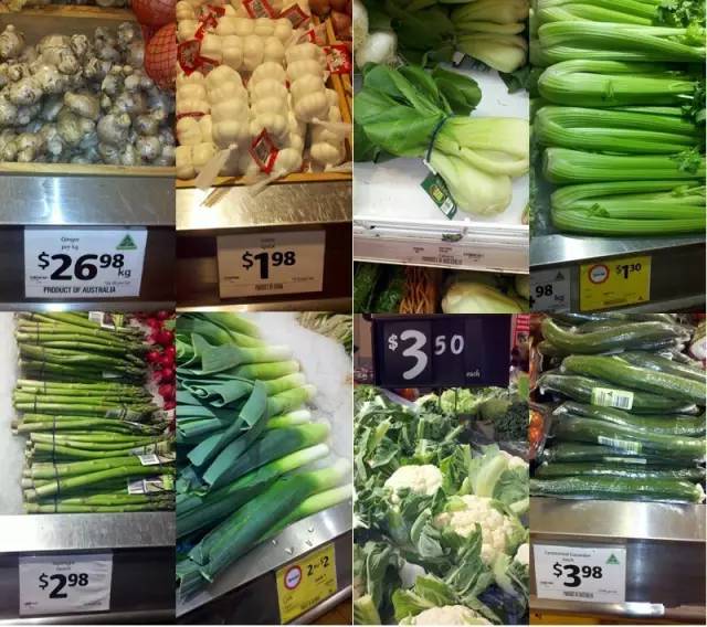 到了澳洲之后才知道的奇葩事,去了澳大利亚才知道的事