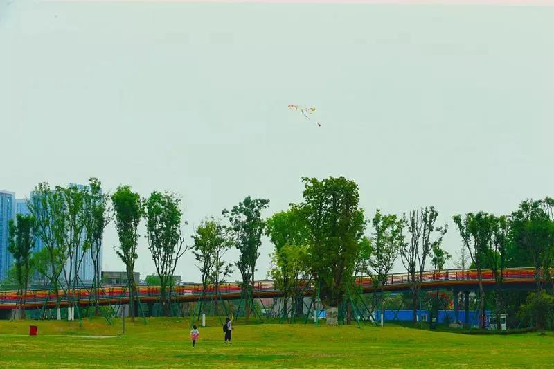 成都金牛天府艺术公园,成都金牛公园