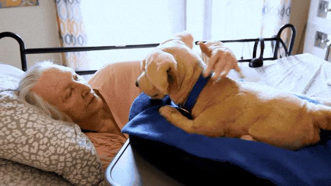 老人孩子专用指甲刀自带放大镜,指甲刀礼物小众高级