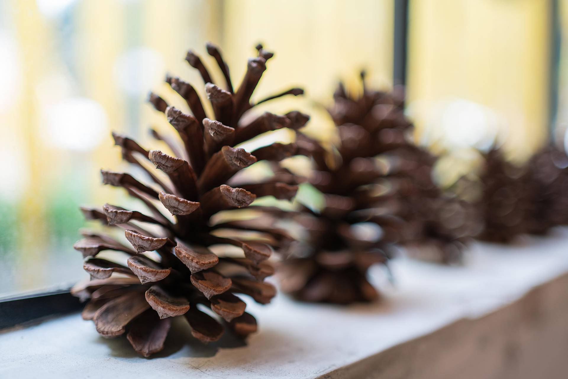 索尼fe35f1.8全画幅测评,索尼fe35mmf2.8蔡司镜头评测