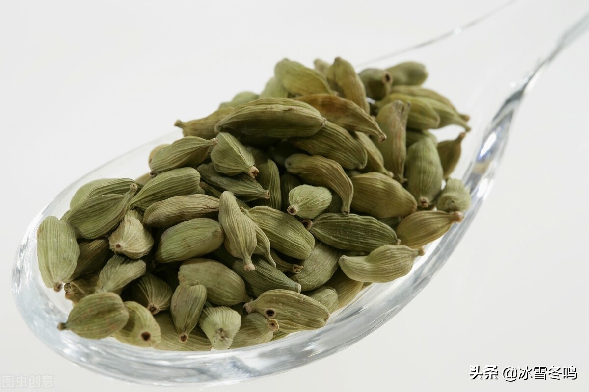 香料豆蔻有哪几种,豆蔻类香料有哪些