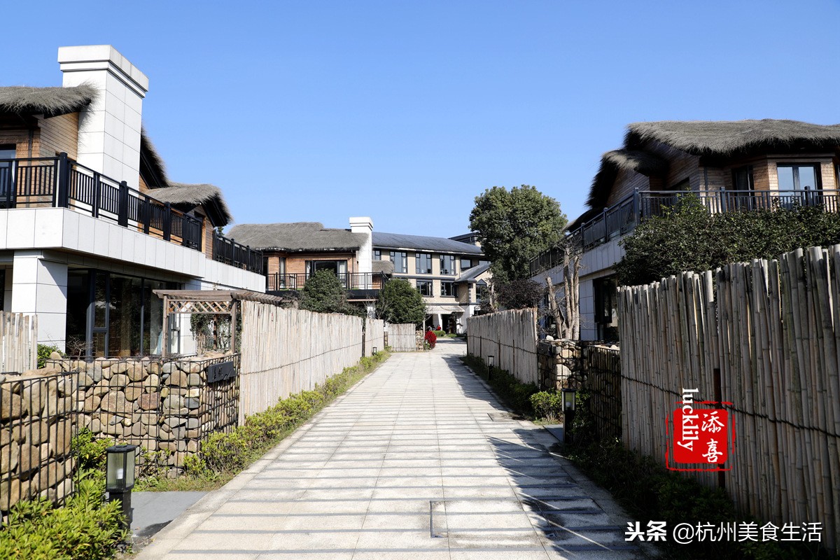 「杭州美食生活」径山淡竹元民宿，享受禅茶竹韵慢生活