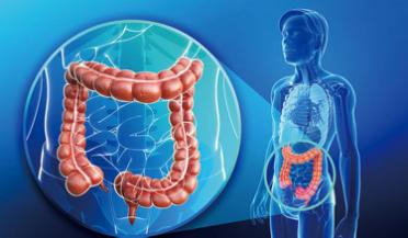 肠易激综合征和肠炎分别吃什么药,慢性肠炎和肠易激综合征典型区别