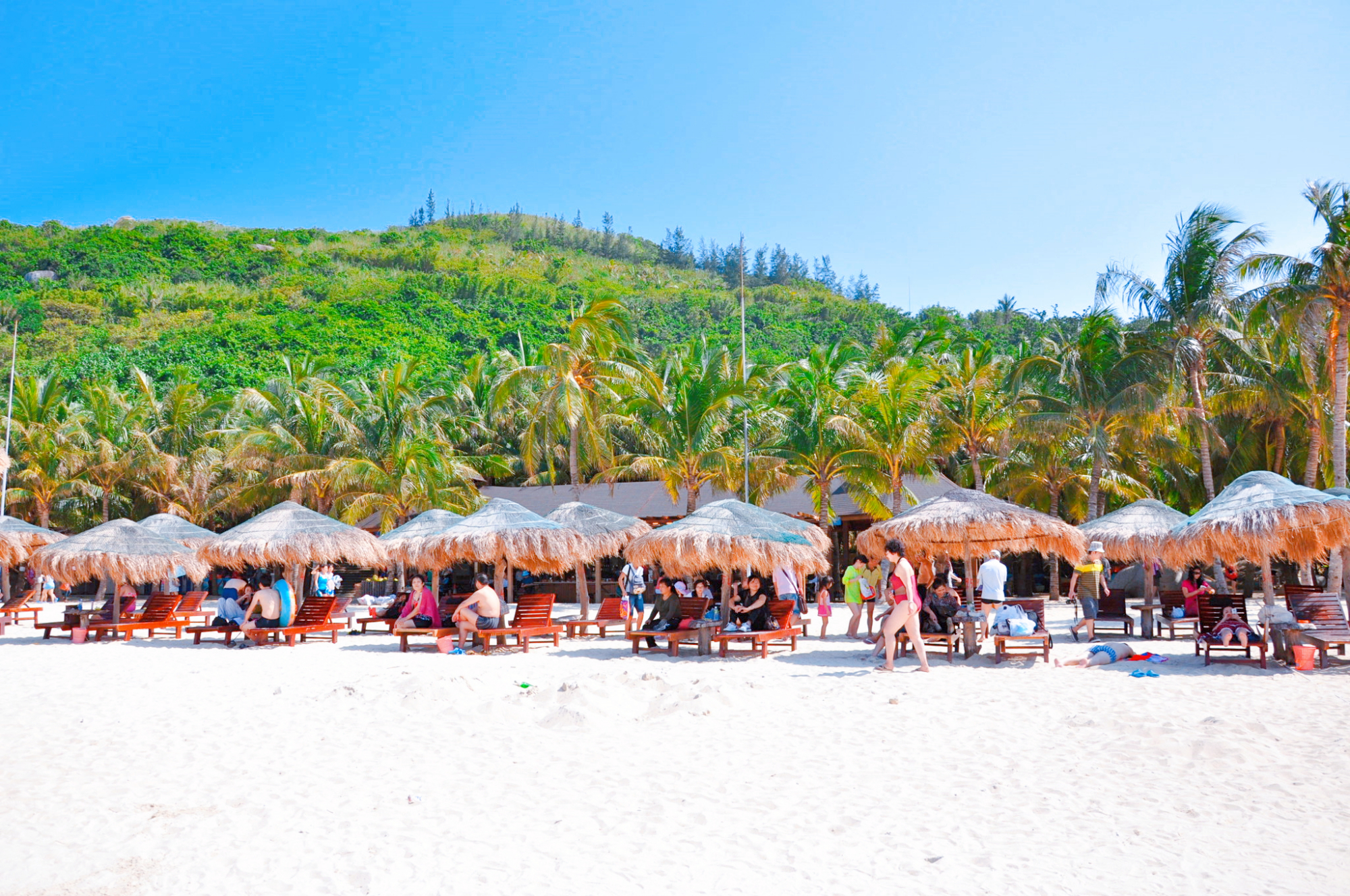 三亚有多少东北人定居,三亚适合不适合常住