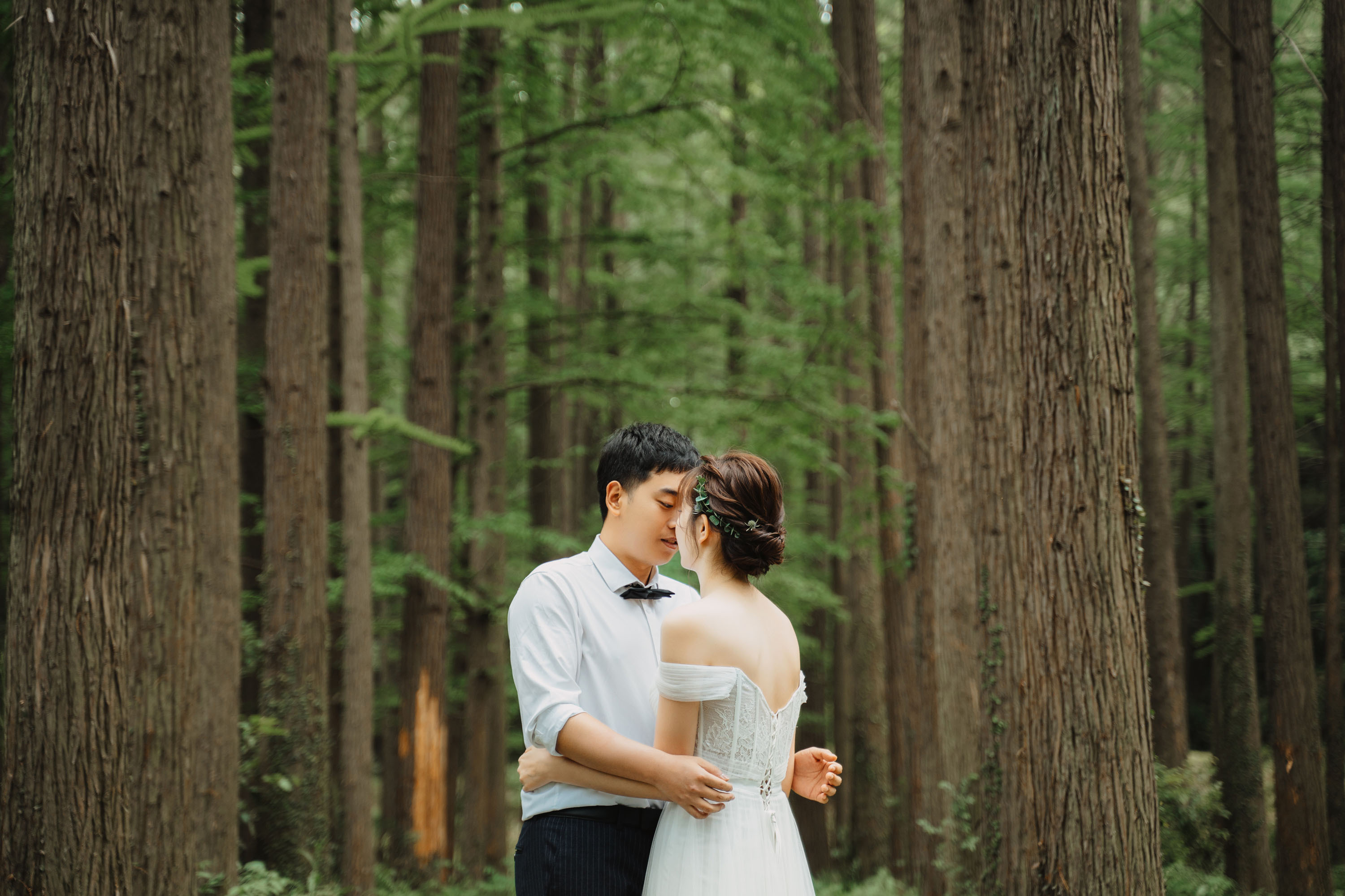 如何零基础自学摄影,如何系统地自学摄影后期