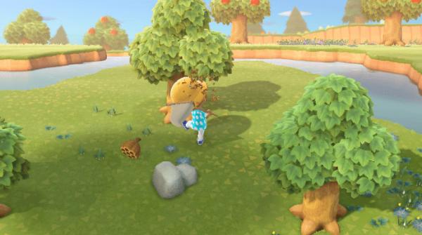 动物之森新手登录教程,动物之森新手攻略手机版