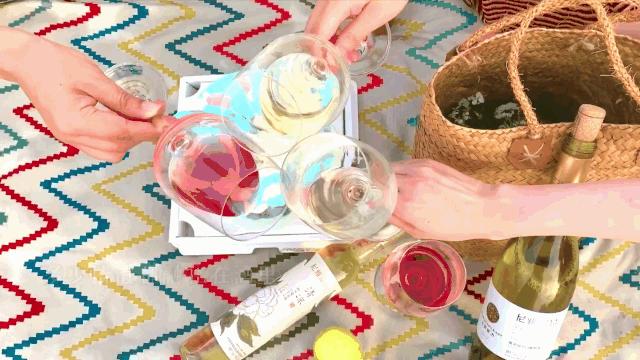 vlog葡萄酒,高级感红酒vlog