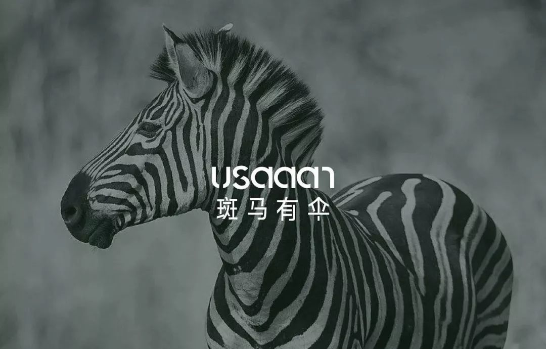 创意品牌vi设计价位,创意品牌vi设计图