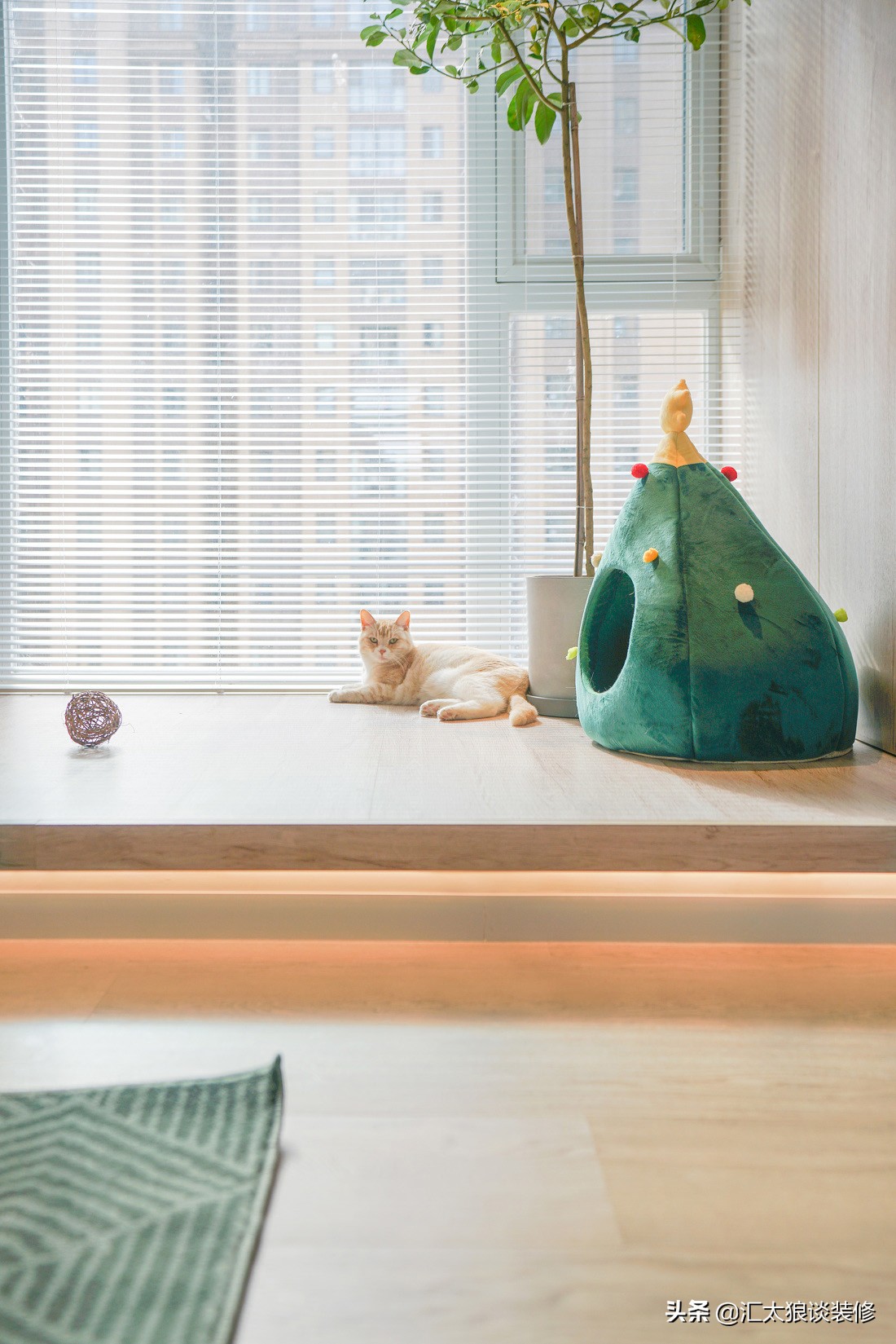 别笑我没出息清唱,别笑我没出息男声