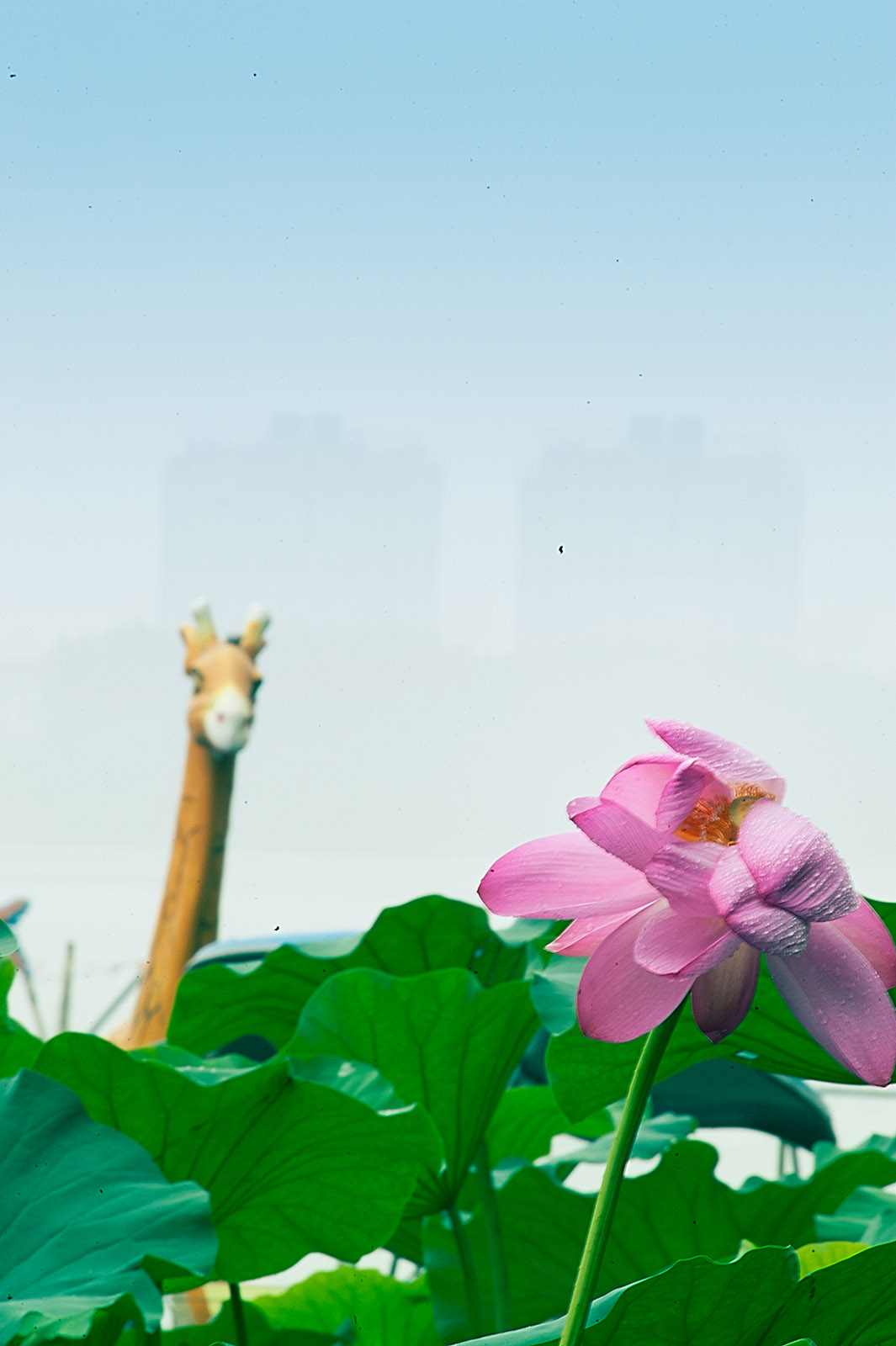 第9篇关于二手（这是个沉重而有趣的话题）