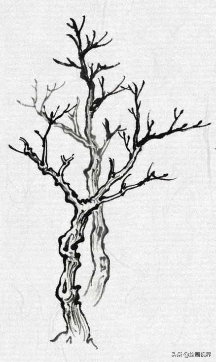 中国画零基础入门技巧,中国画传统画树技法
