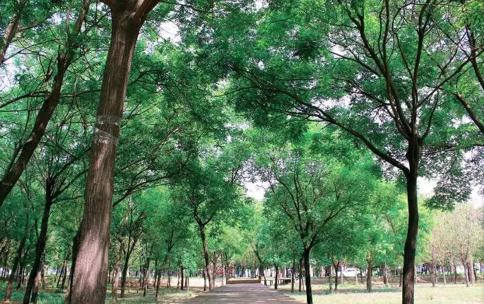 河北政法职业学院新校区,下一站华东政法大学