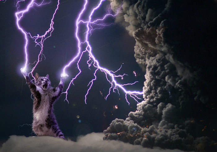 想撸猫但是猫害怕怎么办,想撸猫又怕脏怎么办