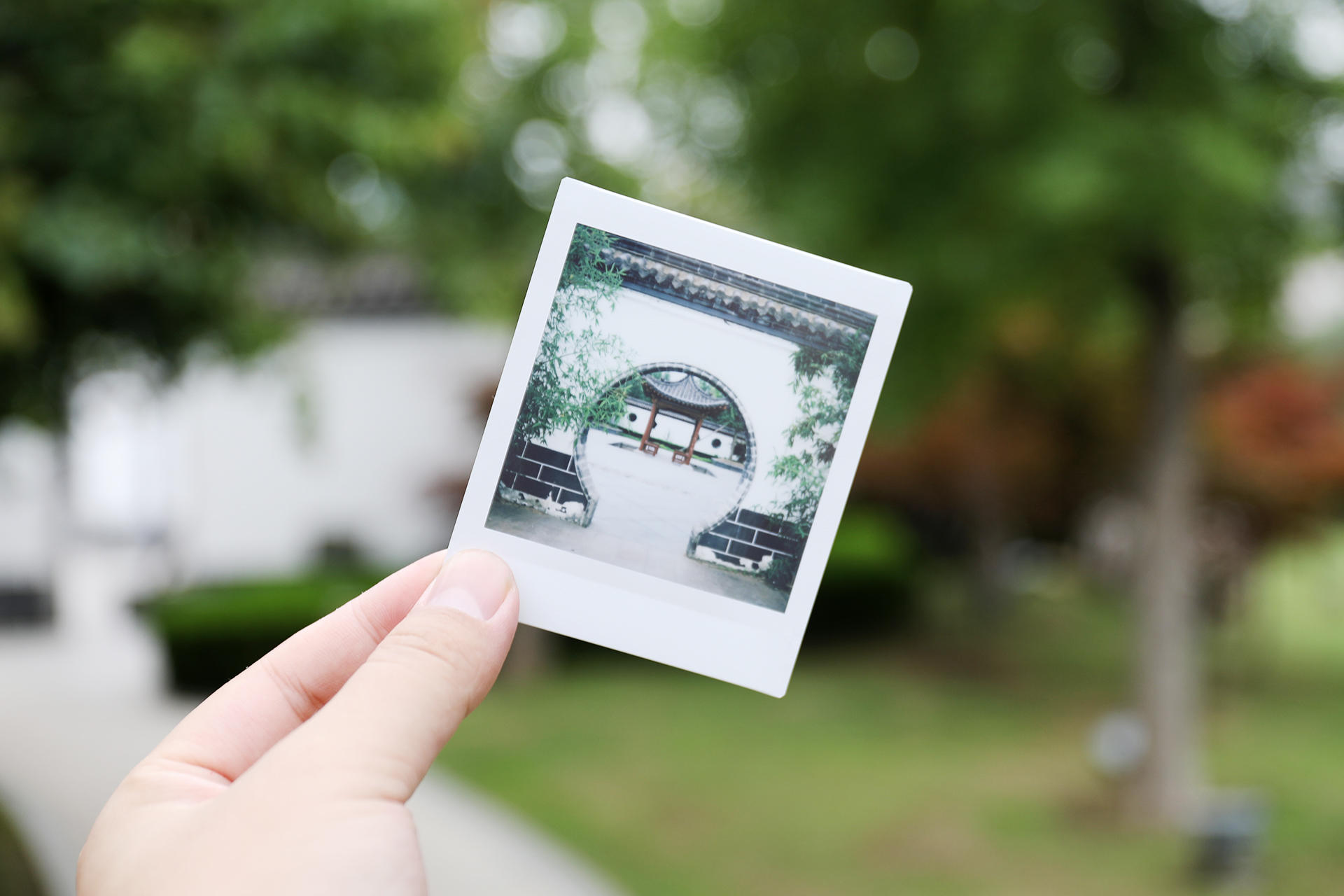 富士拍立得sq1测评,拍立得富士instaxsq1好不好