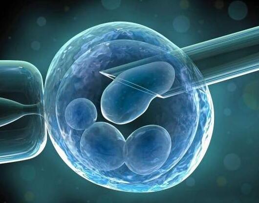 试管婴儿要问医生什么,试管婴儿女性都需要经历什么