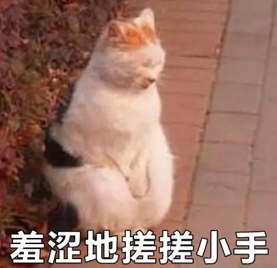 我能想到中国最动人的情话，都藏在街头小贩的广告词里！