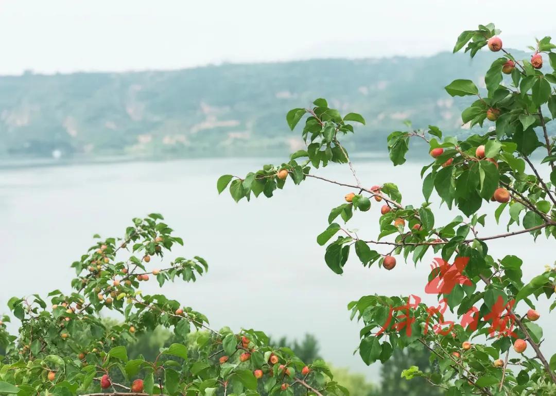 褰撳垢绂忔潵鏁查棬鎵撳紑闂ㄥ幓杩庢帴鏈潵,褰撳垢绂忔潵鏁查棬閮槼閮寒鍘熷敱