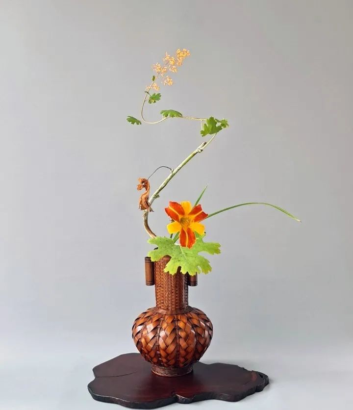 带你了解世界每一个角落,八大花艺流派