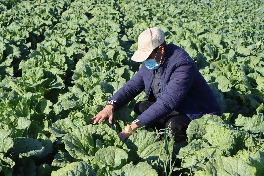 二师美景,处处好丰景