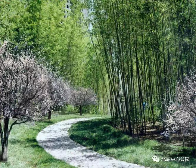 深圳将建8万人专业足球场,全国最大足球公园