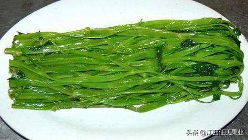 水蕹菜用土种法视频,水蕹菜