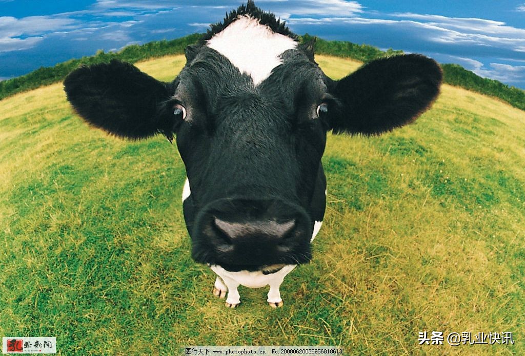 自给率全国,自给率最低的国家