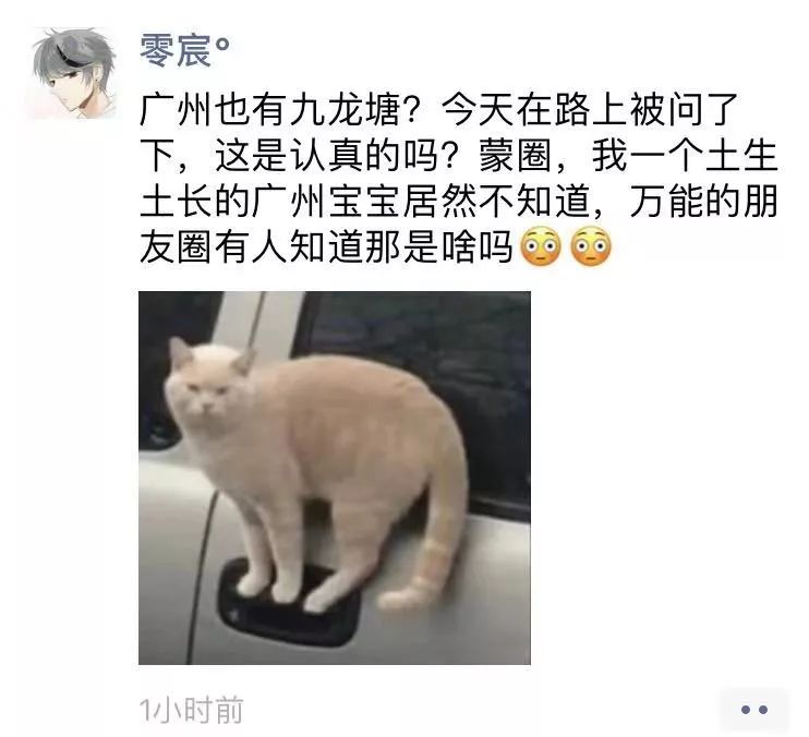 香港九龙塘又一城攻略,香港的九龙塘和观塘是一个地方吗