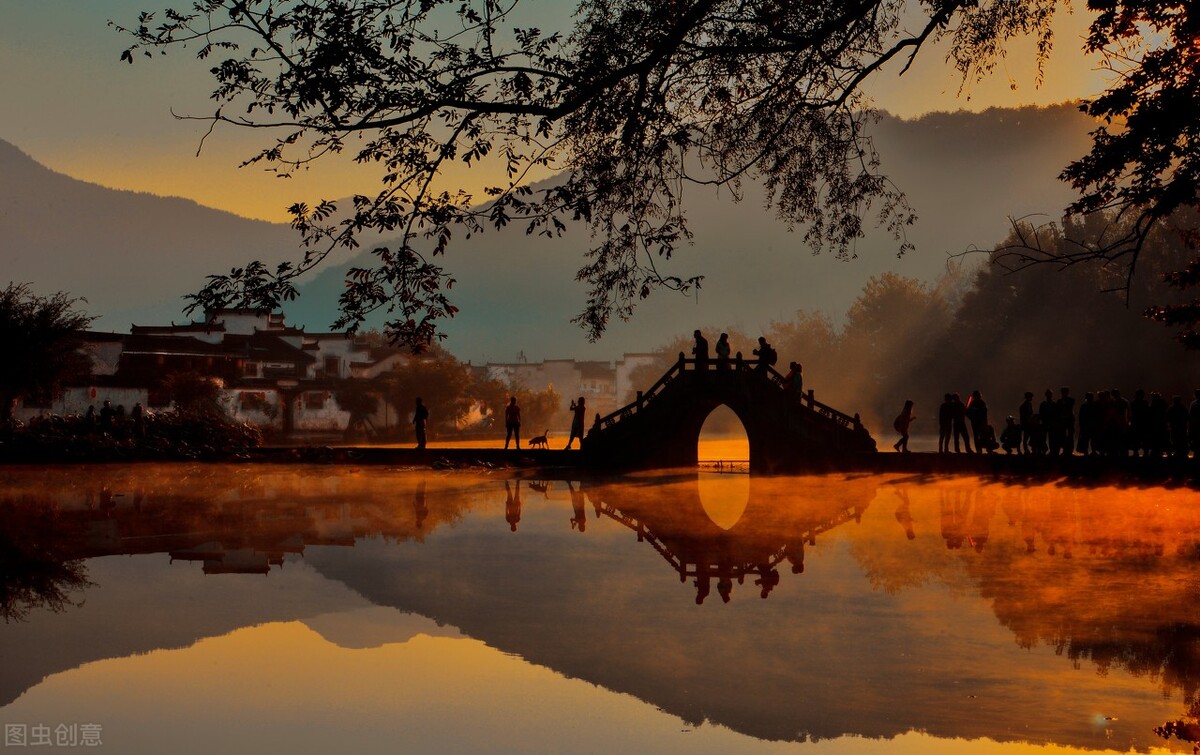 被老鼠咬是好事还是坏事,被老鼠咬了不打针会得狂犬病吗