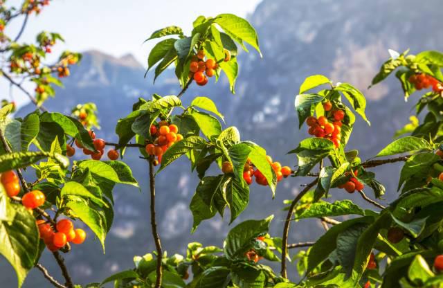贵州的织金洞旅游攻略,贵州织金洞旅游自由行攻略