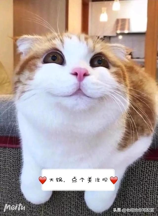 目前显卡如何选择,在挑选显卡的时候要注意哪几点