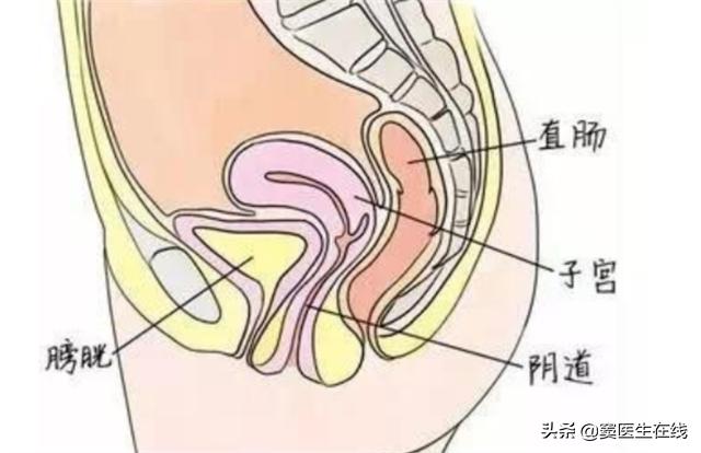 女人长期在水里的危害,女人长期泡澡体内会不会湿气重