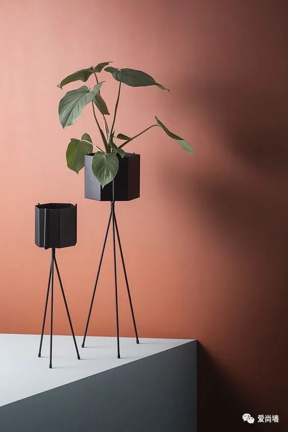 鲸彩漆好看的颜色,鲸彩漆浅灰调色