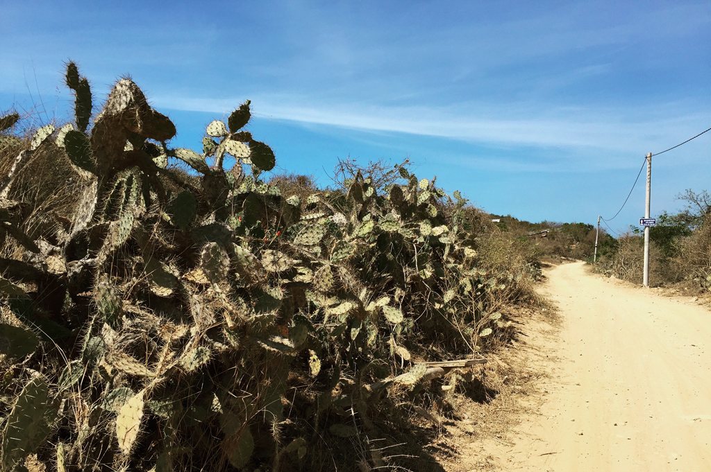 越南美奈,越南美奈之旅