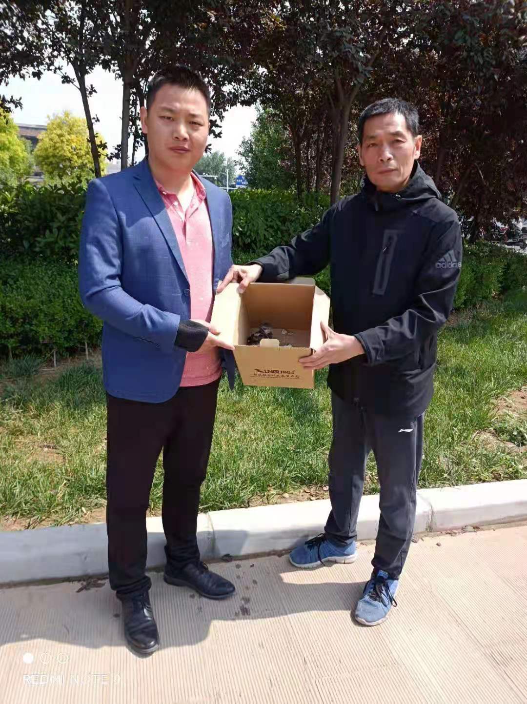 遇见了受伤的幼鸟怎么办,遇见受伤的鸟怎么救助