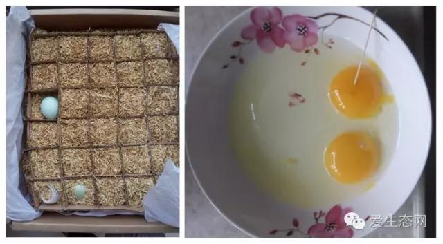 网络卖土鸡蛋有什么要求,网上售卖土鸡蛋需要什么手续