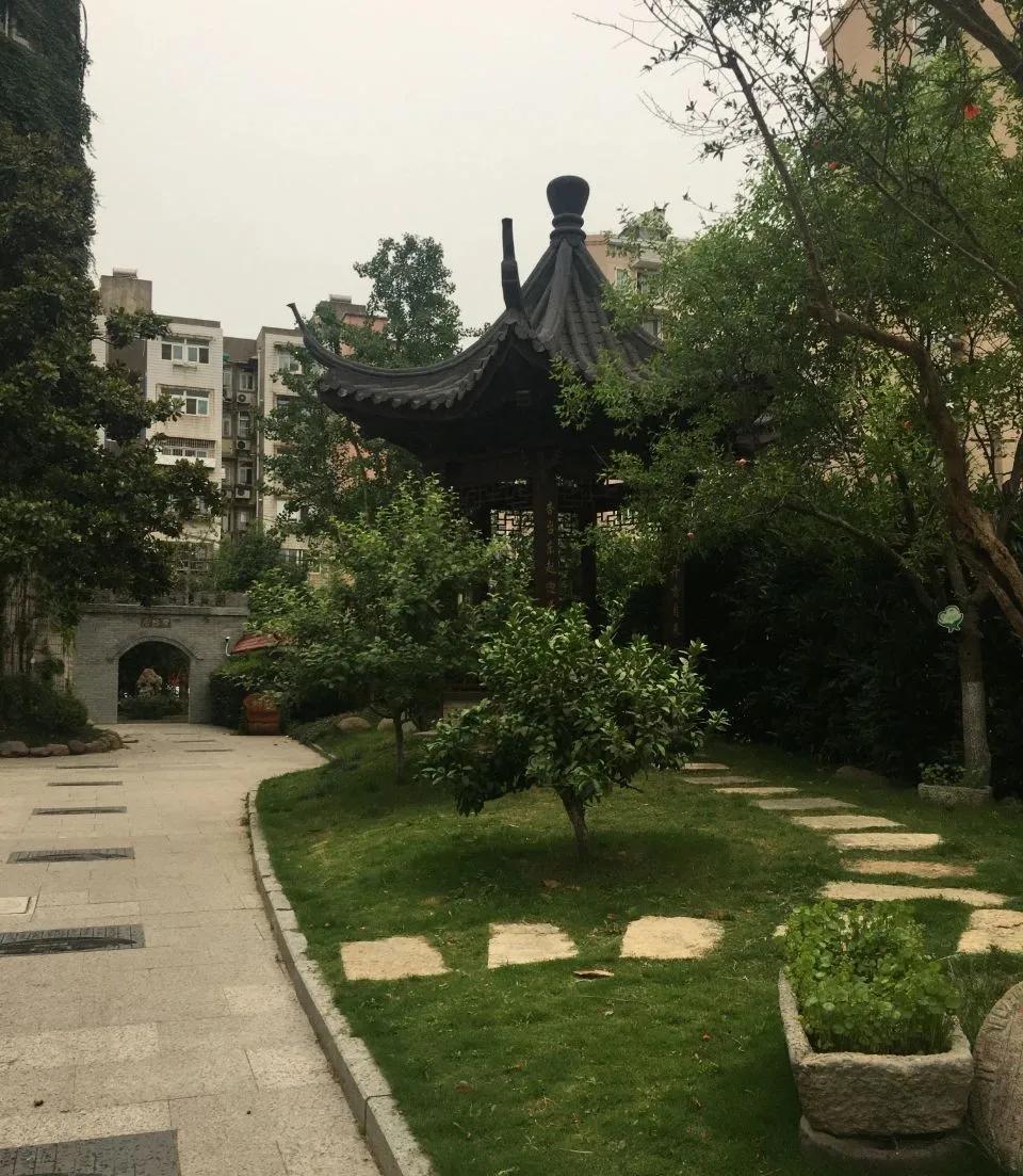 名校力量|这所游小联盟校有两把“宝剑”！未来可期