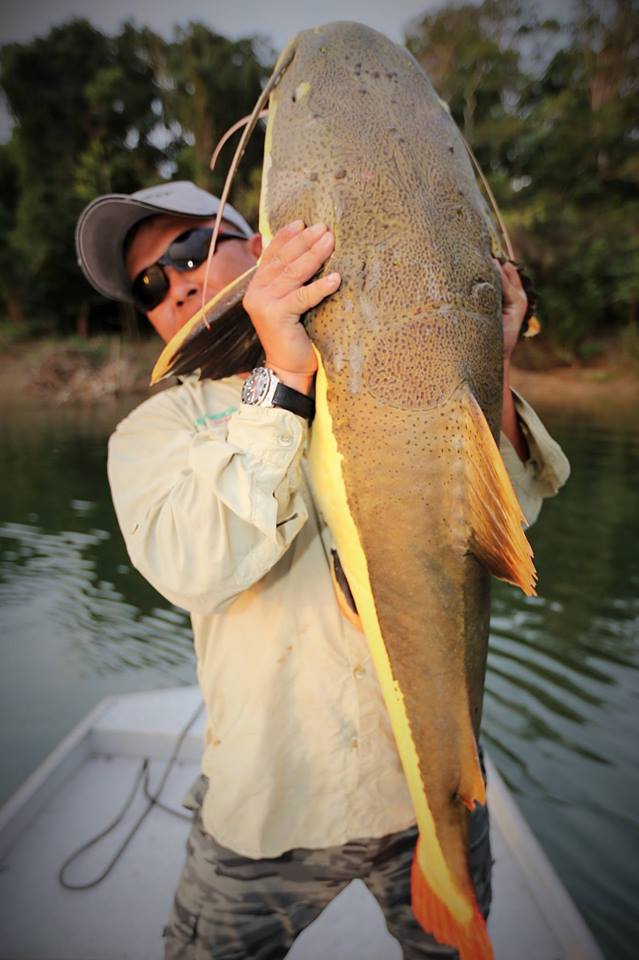 钓亚马逊神秘鱼种,游钓亚马逊河纪录片