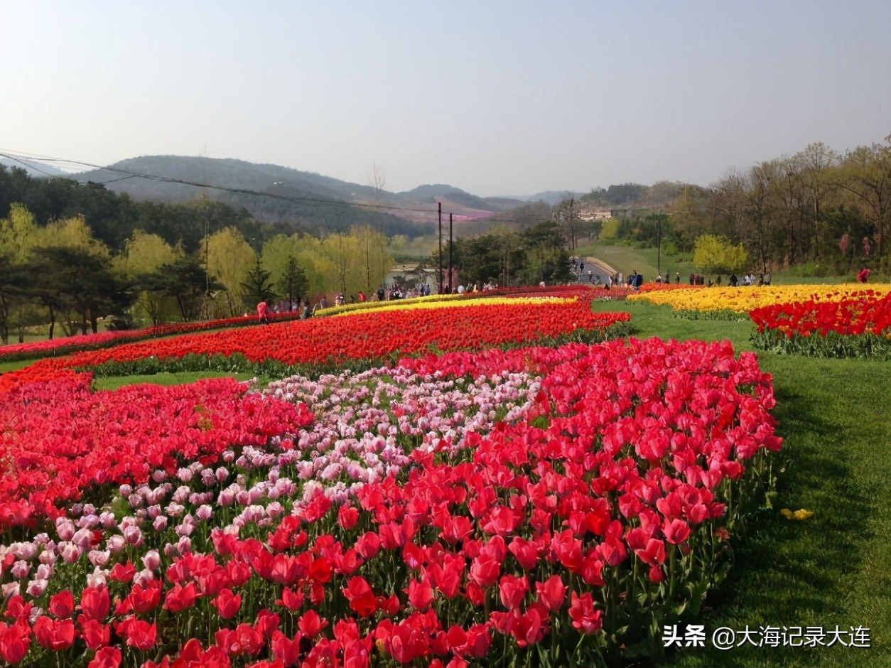 5.1小长假旅游大连,大连小长假旅游攻略
