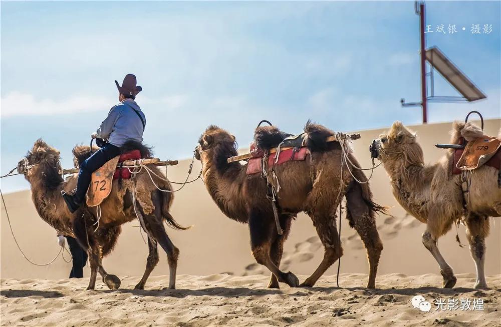 【敦煌新鲜事】月牙泉驼户穿胡服”牵骆驼服务游客