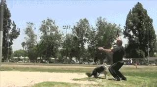 搞笑gif你们这些城里人太会玩了,搞笑gif逗比的世界你永远理解不了