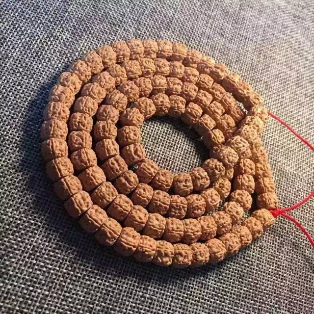 小金刚菩提最终是怎么样的,小金刚菩提子怎么看是真是假