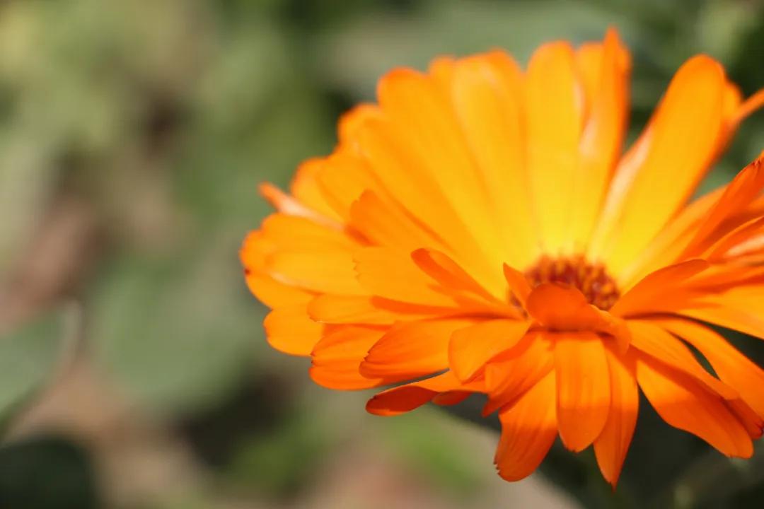 过敏角质层受损,过敏角质层损坏