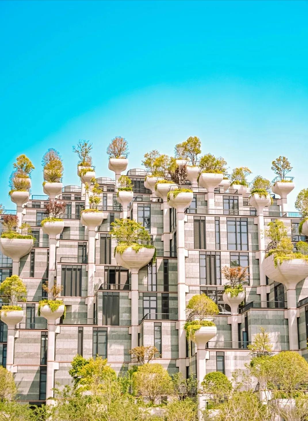 上海免费景点旅游攻略一日游,上海免费游玩景点推荐