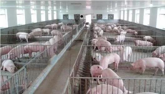 河南牧业改名吗,郑州河南牧业经济学院有用吗